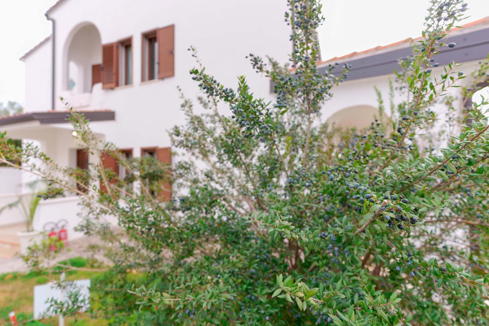 Villa Wunjo Iun R3267 La Maddalena  Exterior foto